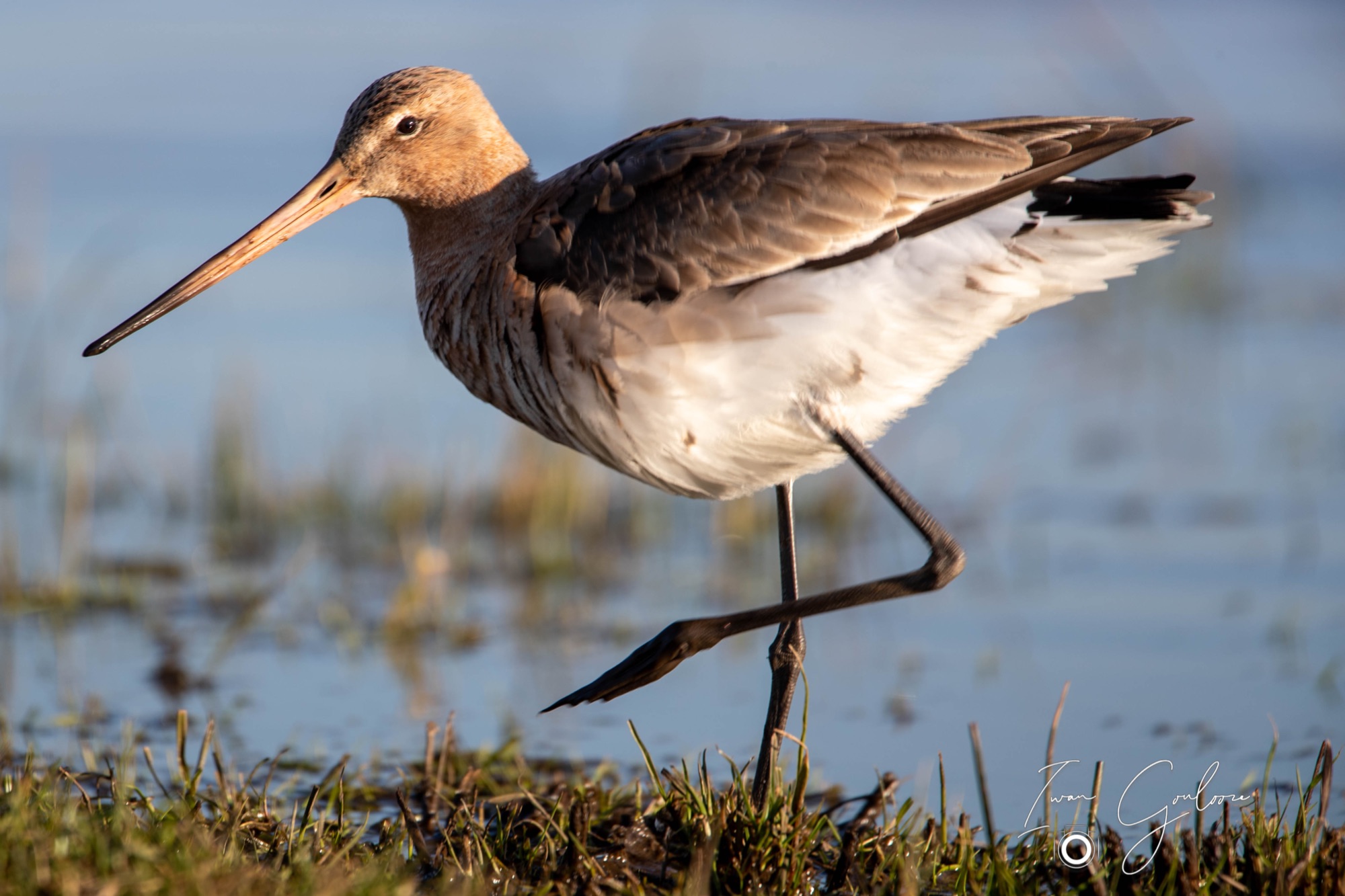 03 maart 2022 171845 1DX43468